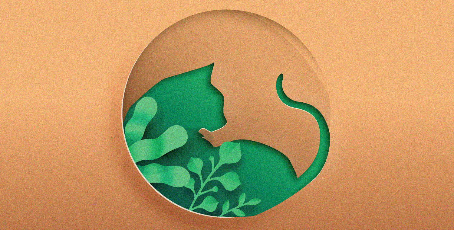 The Top Consumer Demands in the Pet Care Market ECOLOGICAL CAT